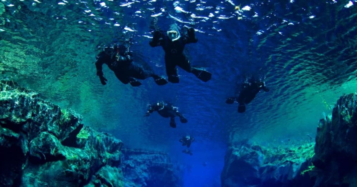 Book with DIVE.IS on Manawa | Manawa