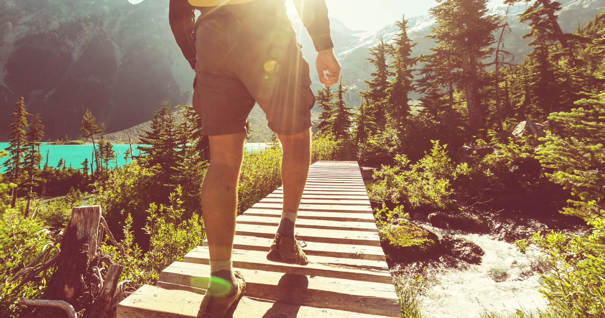 The best Hiking activities | Manawa
