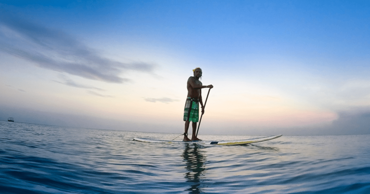 The best Stand Up Paddling activities | Manawa