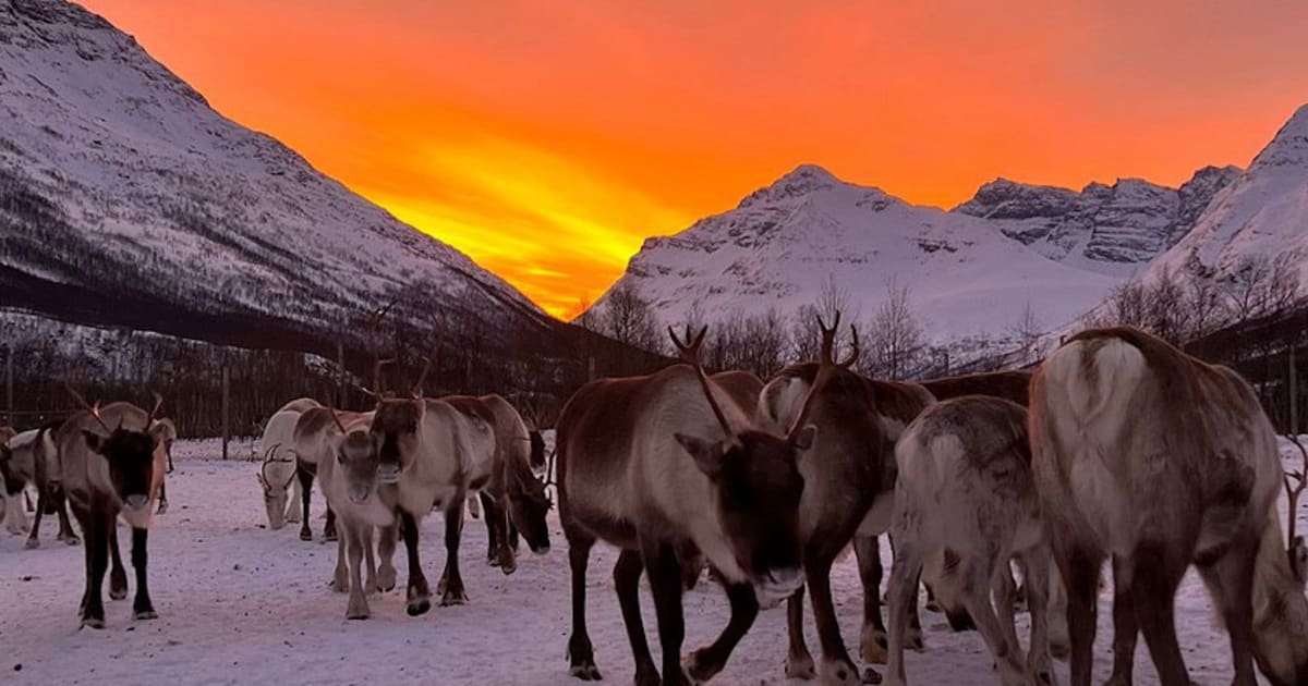Book with Northernlight Guide on Manawa | Manawa
