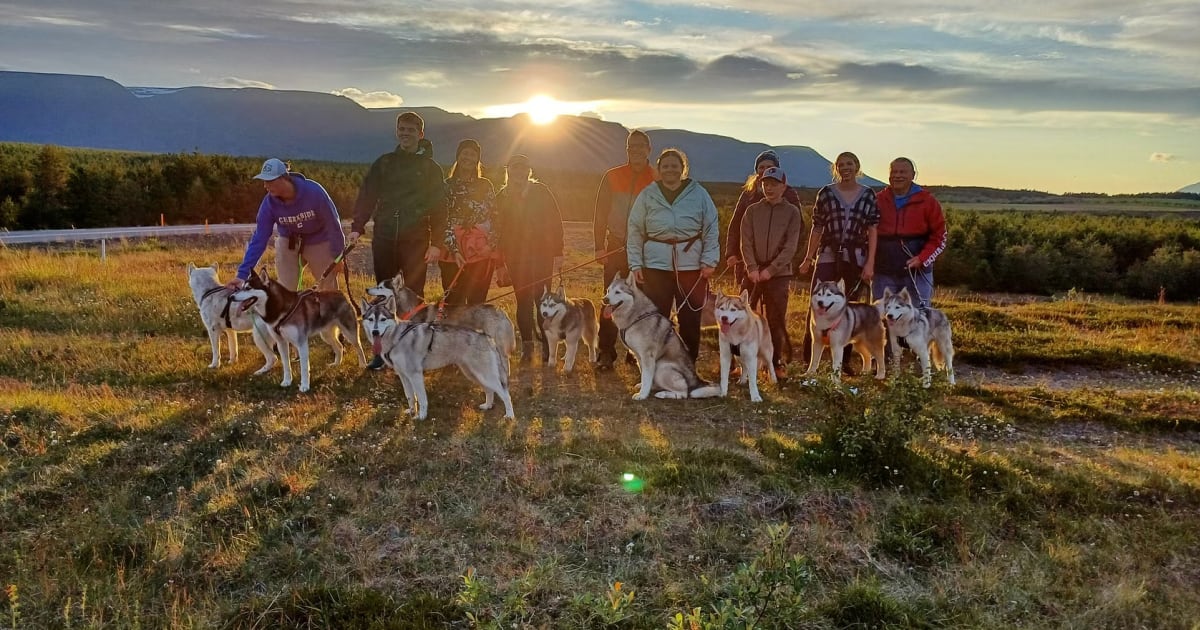 Husky Hiking Tour in Eyjafjörður departing from Akureyri | Manawa
