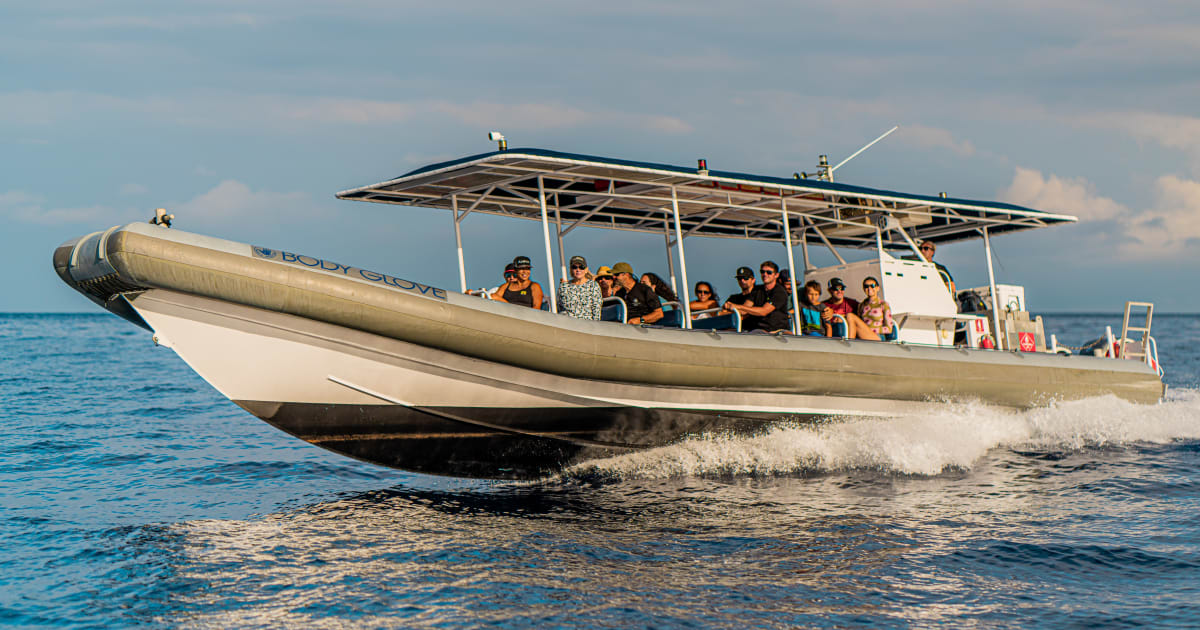 Snorkelling speed raft - Big Island speed raft snorkelling excursion ...