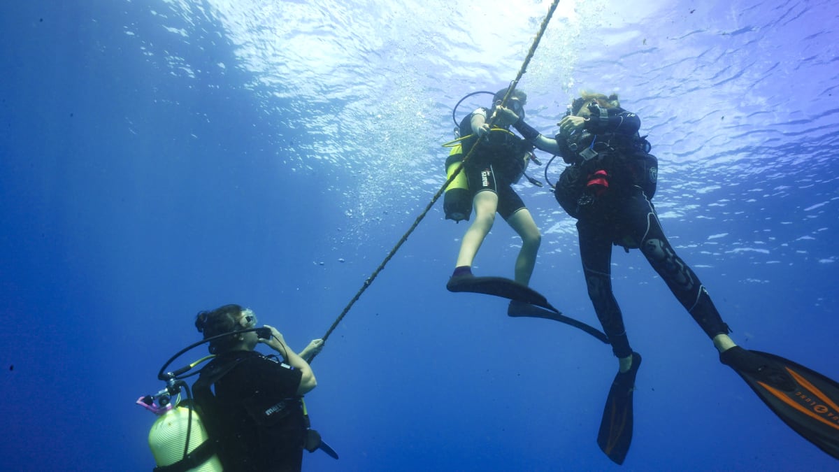Deux plongeurs se tiennent à un bout tendu vers la surface pendant qu'un troisième remonte vers eux