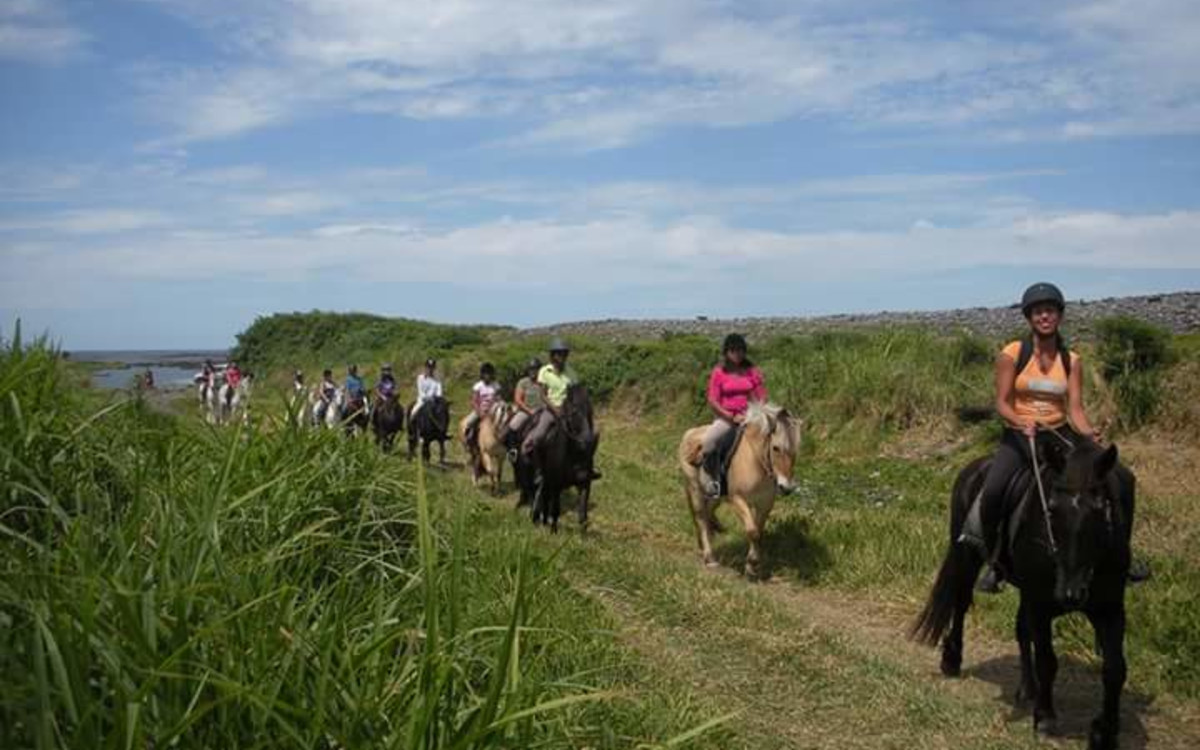 Groupe de cavaliers casqués chevauchant en file sur un sentier herbeux côtier de l'est de La Réunion, ciel bleu et végétation luxuriante