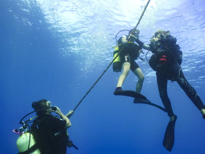 Trois plongeurs en combinaison près d'un cordage de descente, dans une eau bleue lumineuse sous la surface