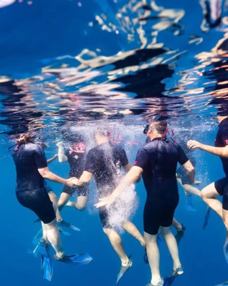 Cinq nageurs en combinaison noire et palmes, se tenant par la main sous la surface, vus sous l'eau