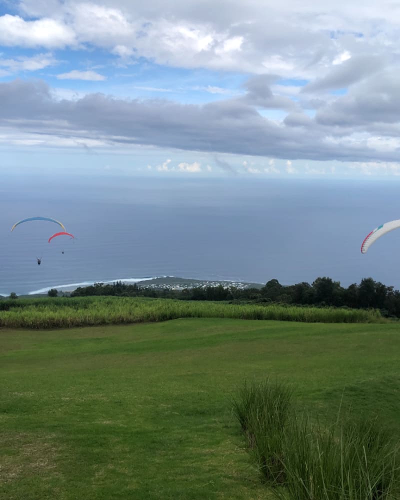 Plusieurs voiles de parapente en vol au-dessus d'une prairie en pente, la mer et la côte en arrière-plan