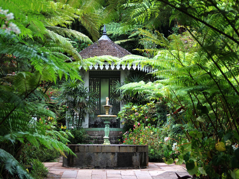 Petit kiosque blanc à toit de bardeaux et fontaine en pierre au milieu de fougères arborescentes, dans un jardin tropical