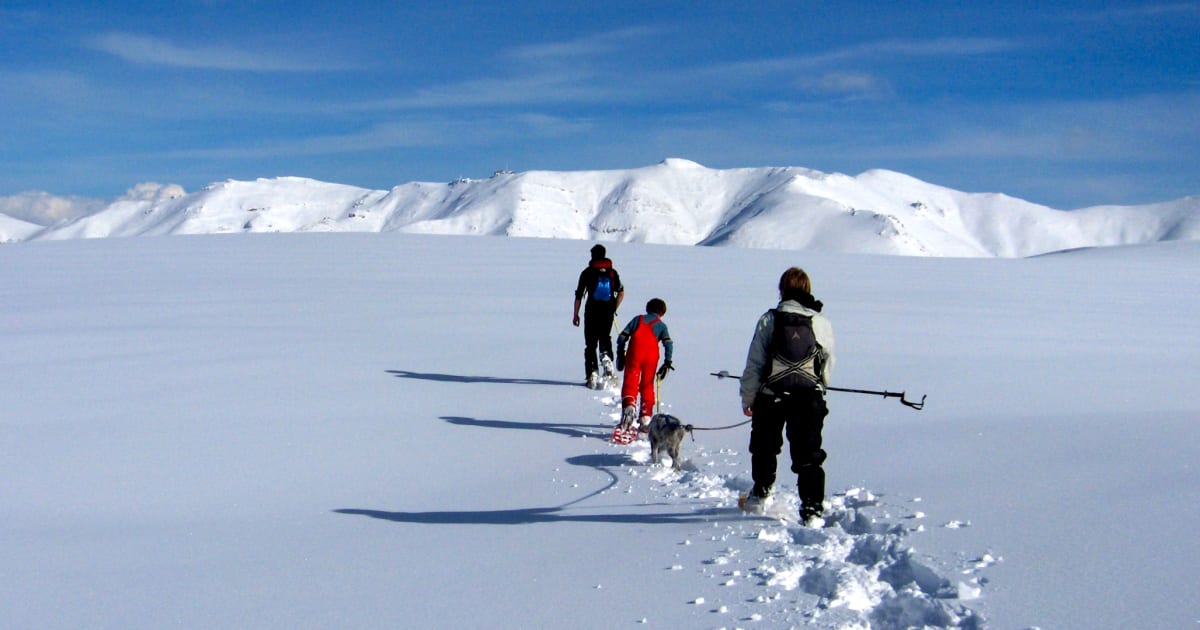 Raquettes à neige à Le Lioran