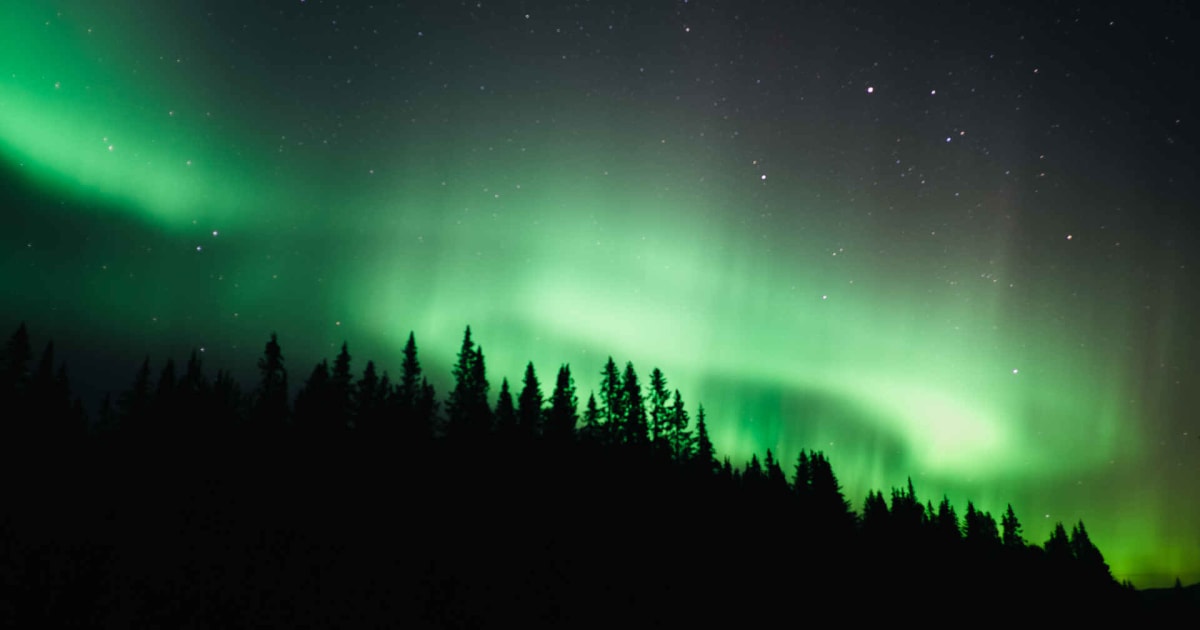 Raquettes à neige à Åre