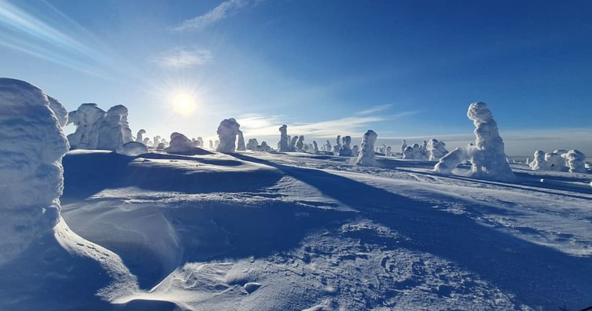 Raquettes à neige à Parc national de Riisitunturi