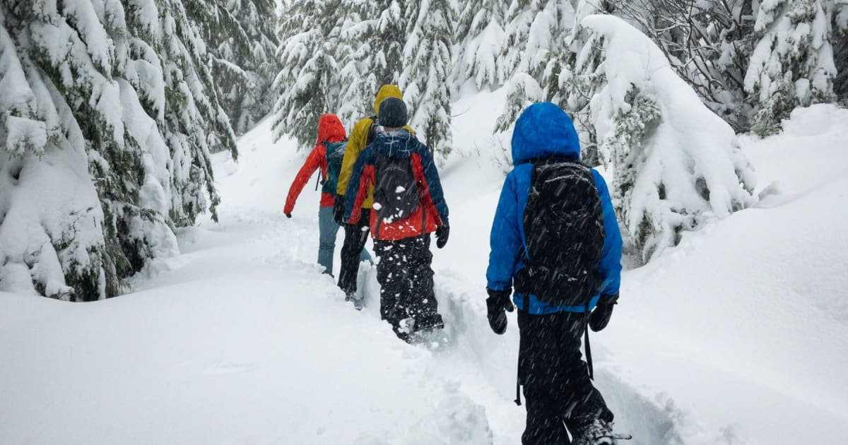 Raquettes à neige à Laurentides, Québec