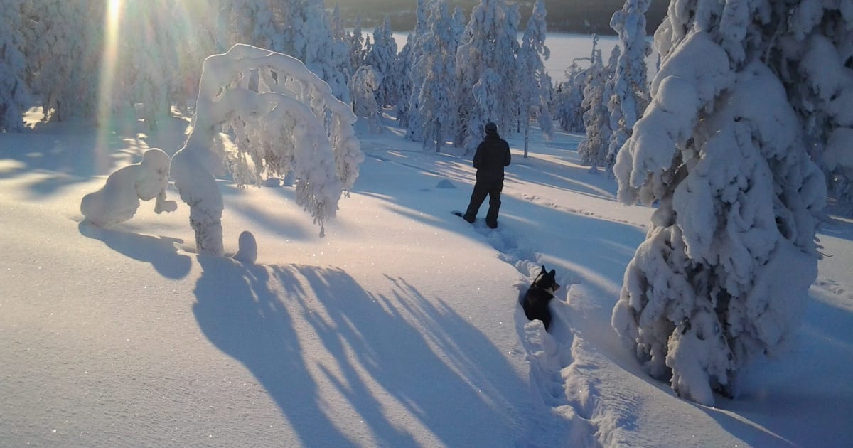 Raquettes à neige à Pyha