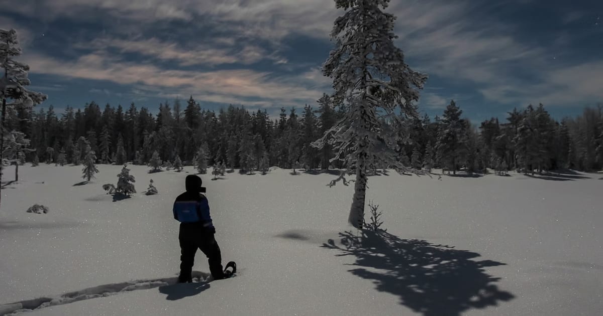 Raquettes à neige à Saariselkä