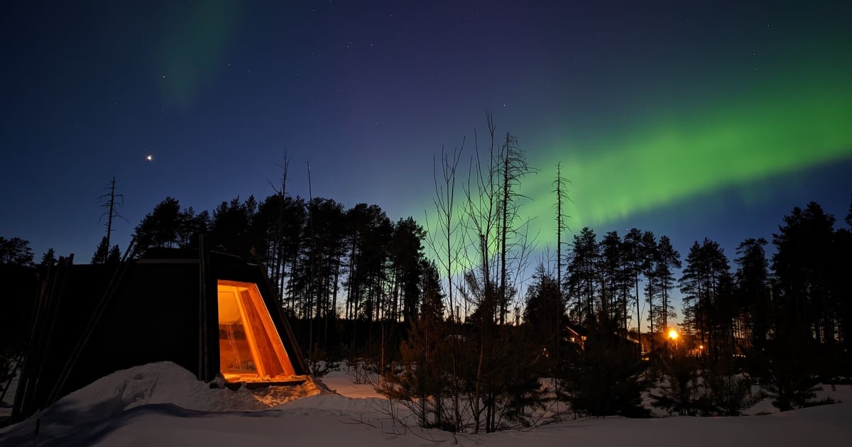 Chiens de traîneau à Ekorrsele, Västerbotten