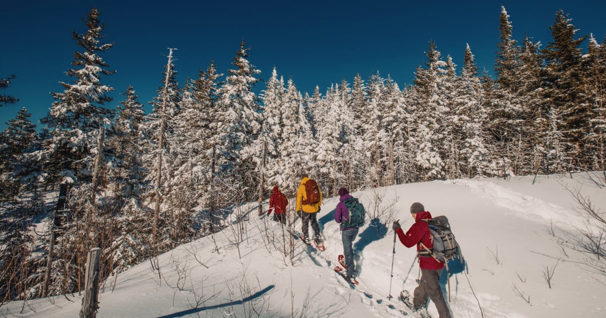 Raquettes à neige à Montréal