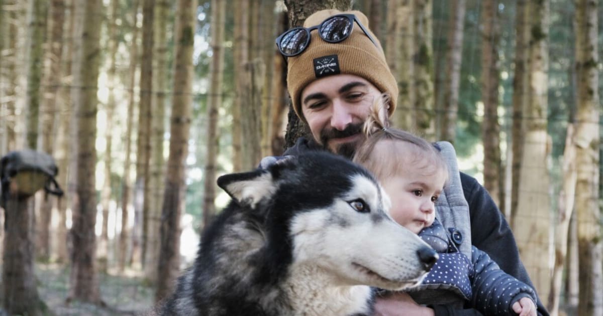 Chiens de traîneau à Peyragudes