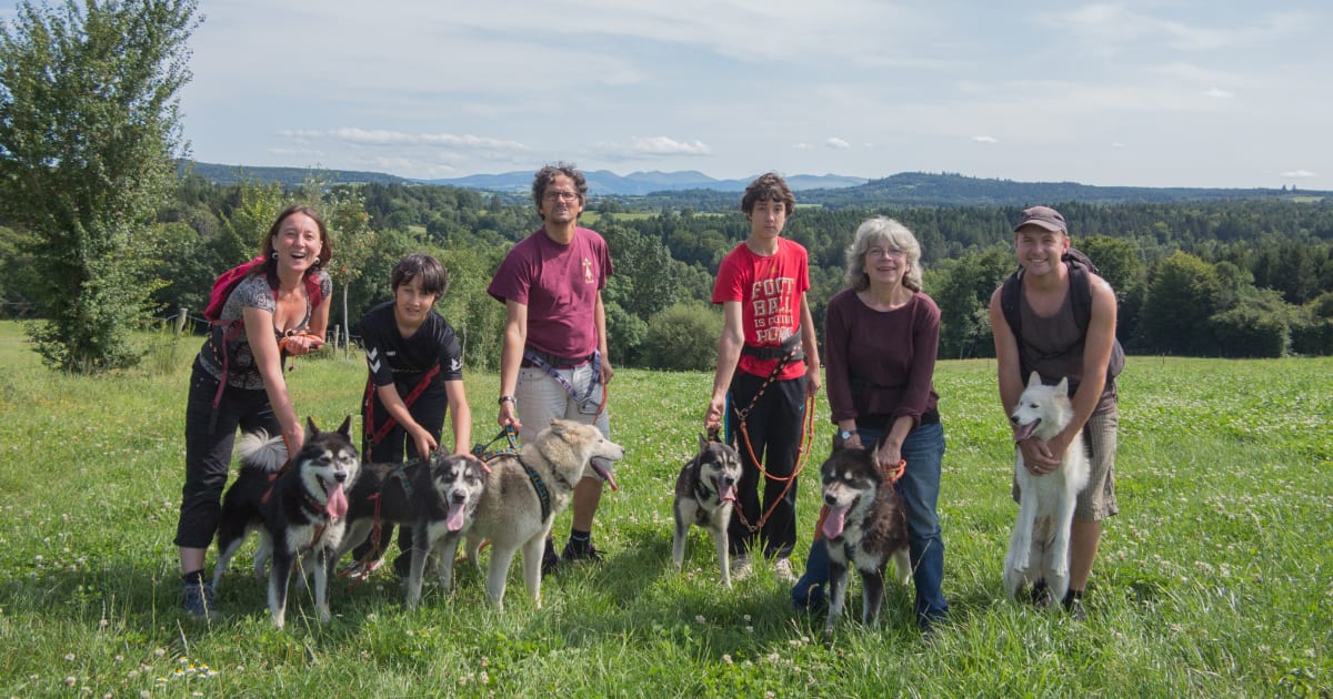 Chiens de traîneau à Clermont-Ferrand