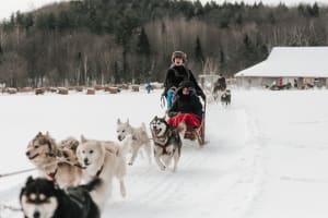 Hundeschlittenfahrten in der Region Lanaudière von Montreal aus