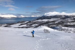 Snowshoeing and Reindeer Feeding Trip near Tromsø