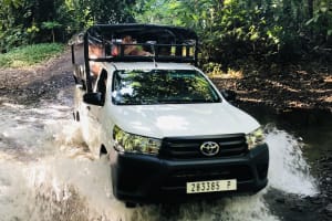 4x4 Safari Excursion in Moorea