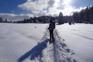 Privater Schneeschuh-Ausflug in Chamonix in der Nähe des Mont Blanc