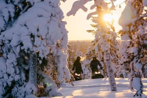 Excursion d'une demi-journée en motoneige dans les forêts lapones au départ de Levi