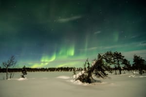 Excursion en raquettes dans les aurores boréales au départ de Kiruna