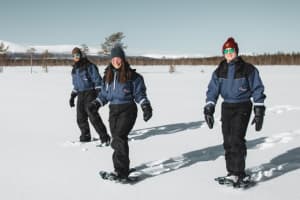 Excursion en raquettes à Ylläs