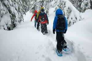 Snowshoe Rental at Mont-Tremblant in the Laurentians