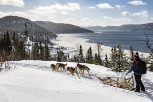 Selbstfahrende Hundeschlittenfahrt auf dem Saguenay-Fjord bei Tadoussac