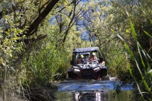 Safari en buggy por el valle de Konavle a la salida de Dubrovnik