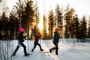 Leisurely Snowshoe Hike from Kalix near Luleå