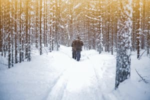 Excursion en raquettes à neige au départ de Rovaniemi
