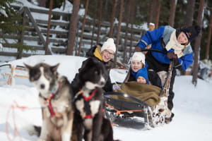 Anfänger-Selbstfahrer-Hundeschlittensafari in Ylläs