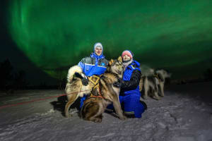 Safari de Auroras Boreales en Trineo de Perros desde Kirkenes