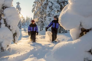 Excursion en raquettes aux aurores boréales à Ylläs