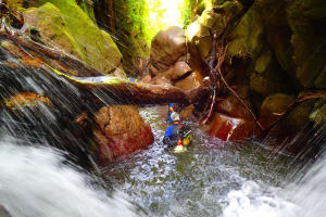 Vauchelet canyon in Basse-Terre, Guadeloupe