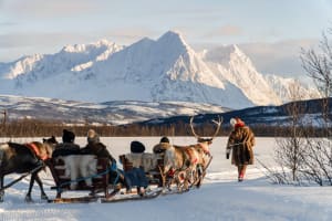 Traîneau à rennes et expérience culturelle samie depuis Tromsø