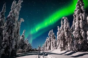 Photographie des aurores boréales en minibus au départ de Rovaniemi