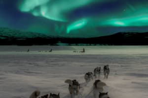 Chiens de traîneau privés dans les aurores boréales et massage aux huskys depuis Kiruna