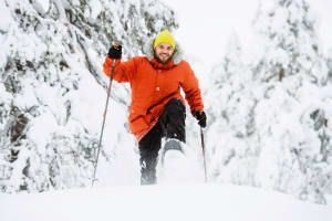 Snowshoeing Safari in Saariselkä
