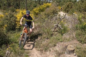 Alquiler de Fat Bike eléctricas en La Palmyre