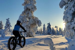 Fat Biking Excursion from Saariselkä