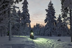 Evening Fat Biking Tour from Saariselkä