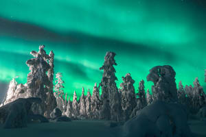 Northern Lights Photography Tour from Kiruna