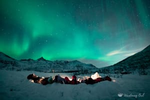 Chasse aux aurores boréales depuis Tromsø et projet de science citoyenne