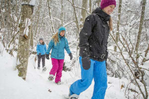 Excursion en raquettes dans le parc national de la Jacques-Cartier depuis Québec