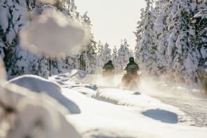 Excursion en motoneige dans les forêts de Rovaniemi