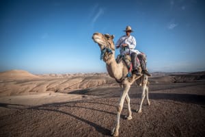 Quad bike and Camel combo tour to Jbilets, Morocco
